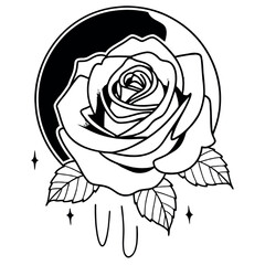 rose on a black background