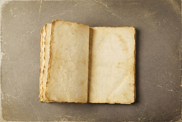 Empty Vintage Journal Spread from Top View