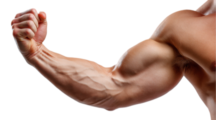 Muscle Mastery: A close-up view of a sculpted, powerful arm flexed in a display of strength and definition. Highlighting the peak of human potential, dedication, and fitness.
