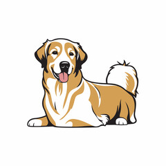 golden retriever dog