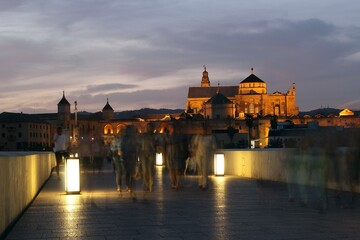 Puente Romano de C&oacute;rdoba by night.