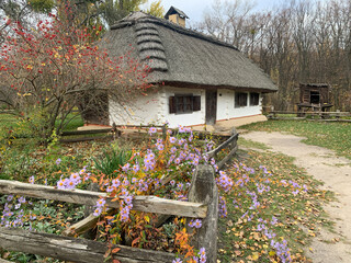 old wooden house in the forest