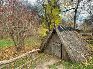 old wooden house in the forest