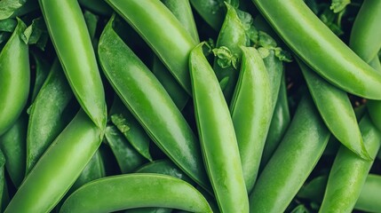 Fototapeta premium Close up of fresh green organic snap peas pods