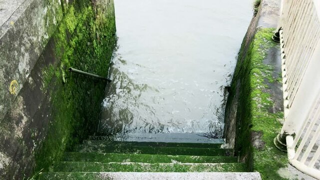 Concrete mossy stairs leading into the water