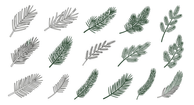 A diverse set of hand-drawn fir and pine tree branches in both outline and solid green styles for winter holiday designs.