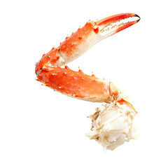 Delicious king crab leg with fresh meat. Cooked red seafood appetizer and gourmet meal for luxury dinner