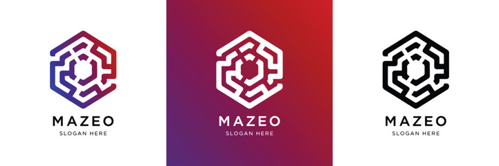 A modern hexagonal maze logo template. Symbolizes strategy, innovation, and interconnected networks for technology, data, or security brands. A sophisticated, adaptable design solution