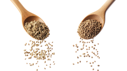 Two piles of coriander seeds and fennel seeds falling in the air on transparent background