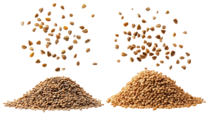 Two piles of fenugreek seeds and caraway seeds falling in the air on transparent background