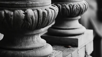Video A classic black vase on a plain background