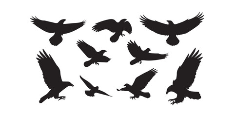 Silhouette of Soaring Eagles Collection Vector Graphic With Black Color and Simple Design On White Background