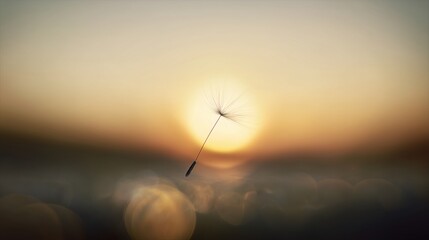 Sunset with a dandelion seed in mid-air