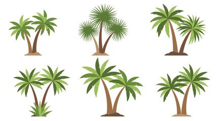 Fototapeta premium A collection of six distinct tropical palm tree illustrations, featuring various designs with green fronds and brown trunks, ideal for nature and vacation themes.
