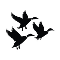 Obraz premium Silhouette of three ducks flying in formation against a white background