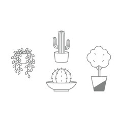 Line Art Potted Houseplants Design Collection