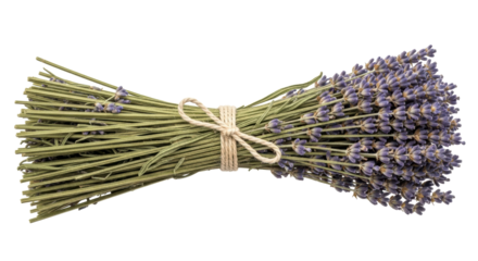 Dried lavender bouquet isolated PNG, aromatic bunch of purple flowers tied with twine on transparent background for aromatherapy and decoration