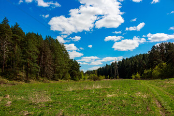 Vibrant green meadow flanked by dense pine forest under a brilliant blue sky with fluffy white clouds and visible power lines