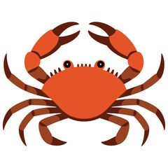 red crab on white background