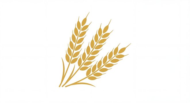 Wheat Ears on White Background