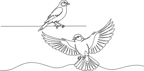 One Perched and One Flying with Outstretched Wings, Representing Freedom, Grace, and Minimalist Nature Art.