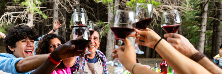 multiracial happy friends dining and having fun toasting and drinking with red wine on picnic table in party outdoors park countryside – horizontal web banner size for header