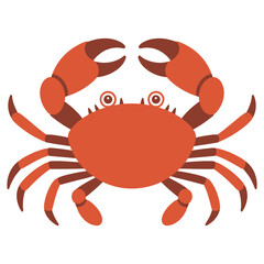 red crab on white background