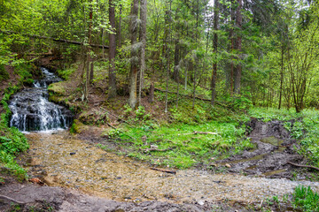 Cascading water tumbles down mossy rocks into a shallow forest stream, surrounded by lush spring green foliage and muddy tracks