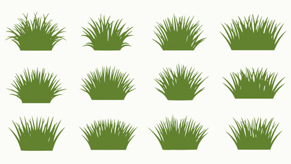 Varied Green Grass Clumps Collection Isolated Vector Illustration