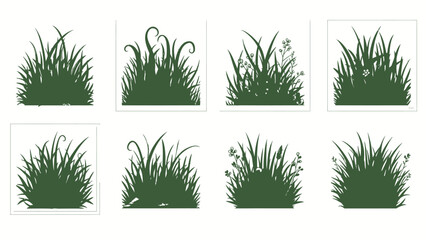 Collection of Ornamental Grass Silhouettes on White Background