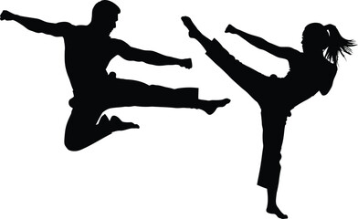 Silhouetted martial artists performing kicks in a dynamic action pose