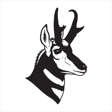 Detailed Pronghorn Head Vector: Black and White Graphic Portrait of a North American Antelope with Distinct Markings and Horns - Wildlife, Western, and Speed Mascot Logo
