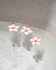 Tropical Pink Plumeria Flowers Floating In Clear Water Spa Setting 