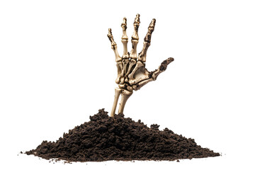 Eerie Emergence A Skeletal Hand Rises from the Earth in a Halloween Display Against a Black Backdrop