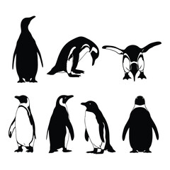 Collection of diverse penguin illustrations, showcasing different stances and forms, isolated on