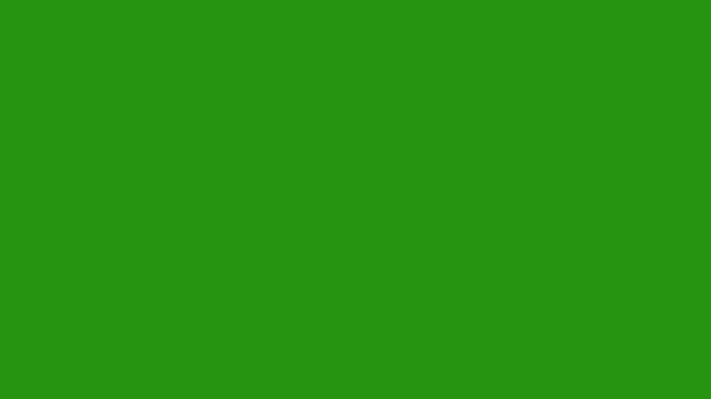 Blinking fast forward button icon animation