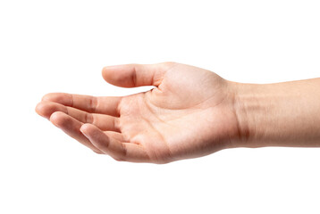 Open Hand Palms Extended Gesture, Offering, Help, and Reaching Out Against Transparent Background