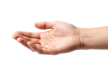 Open Hand Palms Extended Gesture, Offering, Help, and Reaching Out Against Transparent Background
