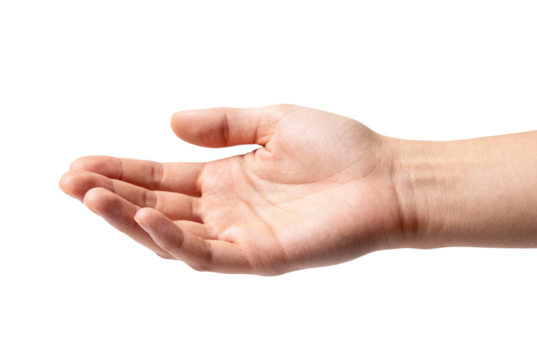 Open Hand Palms Extended Gesture, Offering, Help, and Reaching Out Against Transparent Background