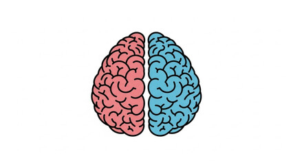 Illustration of human brain divided into two hemispheres, one colored red and the other blue