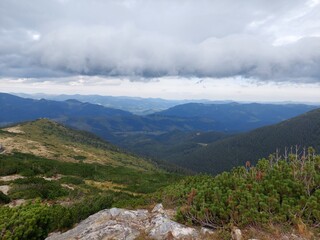 Mountain Valley with Wild Meadow and Forested Hills Under Cloudy Sky