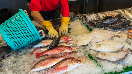 A seafood vendor wearing gloves organizes fresh fish from a blue basket onto an icy display.