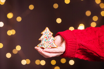 gingerbread in female hands on christmas background among new year lights