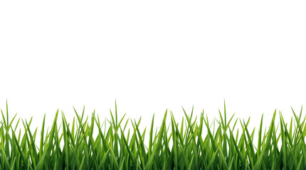 Fototapeta premium Vibrant green grass growing in nature outdoor landscape close-up view lush environment for gardening and landscaping ideas