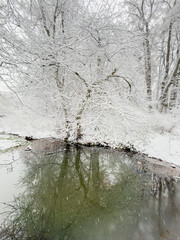 it is snowing heavily in the park, large flakes of snow are slowly falling on tree branches, no people, nobody