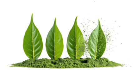 Fresh green leaves vibrant foliage natural elements herbal powder organic materials botanical beauty plant life eco friendly