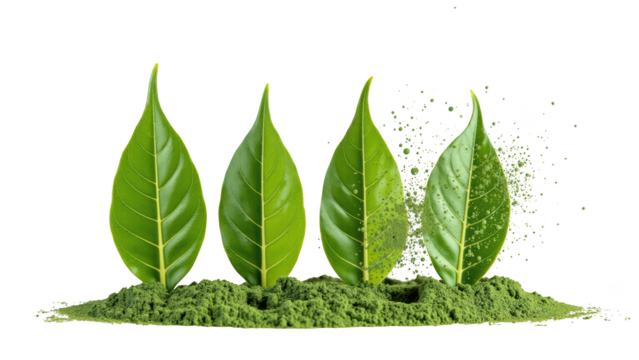 Fresh green leaves vibrant foliage natural elements herbal powder organic materials botanical beauty plant life eco friendly