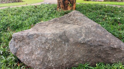 Massive natural gray rock boulder surrounded by lush garden ground cover © irfan