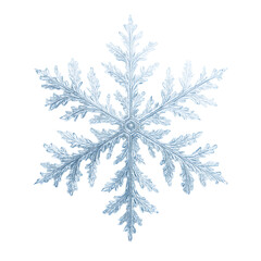 A detailed white snowflake illustration featuring crisp icy lines and winter symmetry,
