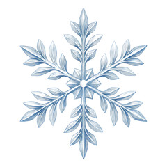 3d icon of a beautiful blue snowflake isolated on transparent background glistens with icy perfection isolated on transparent background